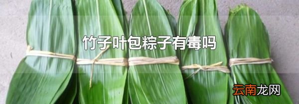 竹子叶包粽子有毒吗