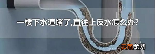 一楼下水道堵了,直往上反水怎么办?