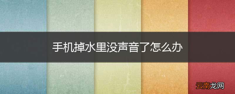 手机掉水里没声音了怎么办