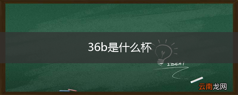 36b是什么杯