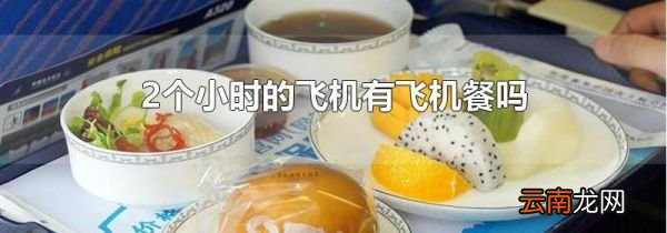 2个小时的飞机有飞机餐吗