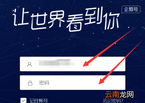 天天快报中申请为作者具体操作流程介绍