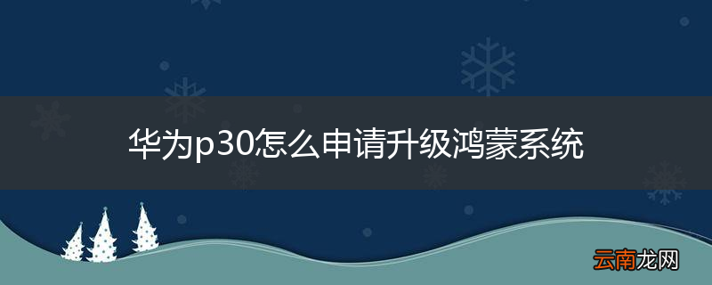 华为p30怎么申请升级鸿蒙系统
