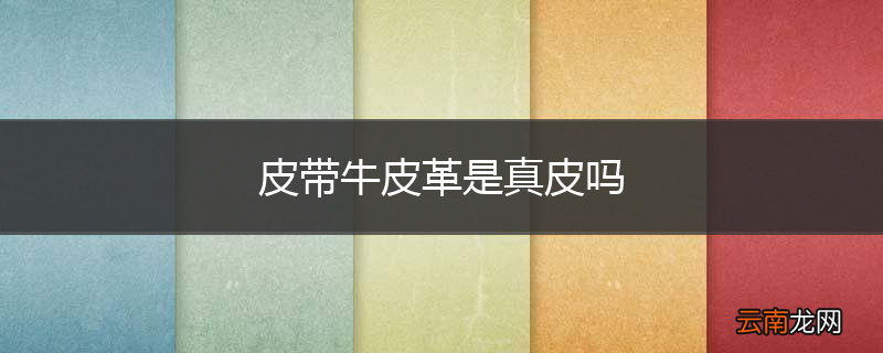 皮带牛皮革是真皮吗