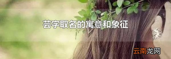 芸字取名的寓意和象征