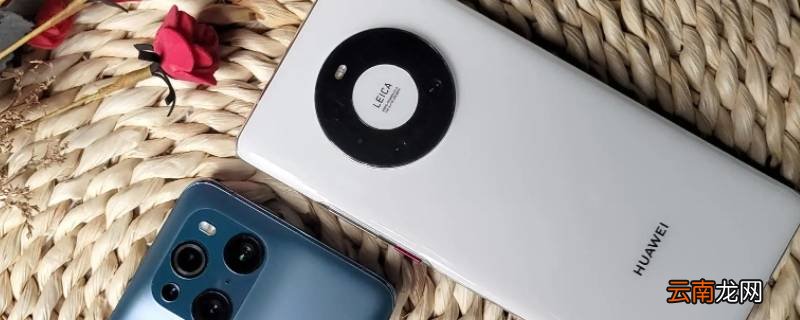 华为mate40分辨率