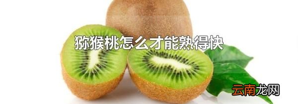 猕猴桃怎么才能熟得快