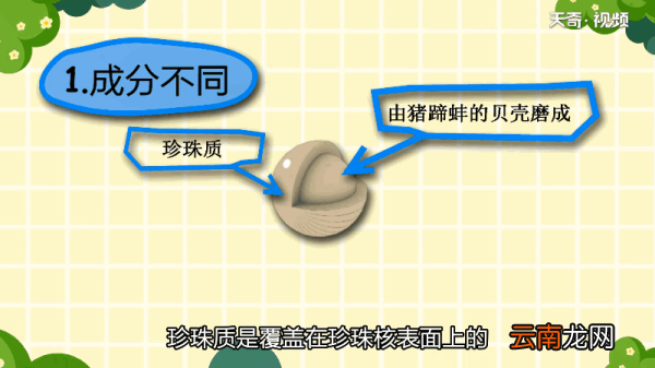 海水珍珠和淡水珍珠的区别 海水珍珠和淡水珍珠的差别