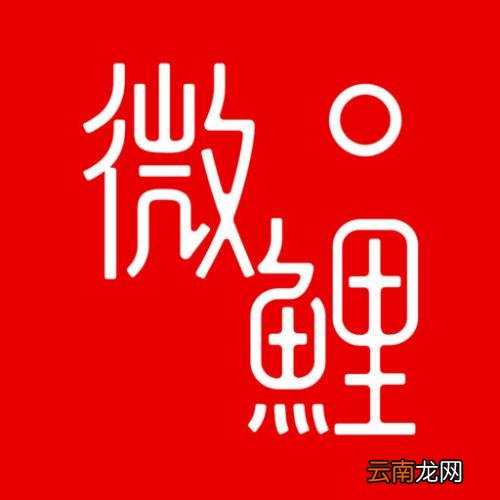 微鲤看看绑定微信具体操作步骤