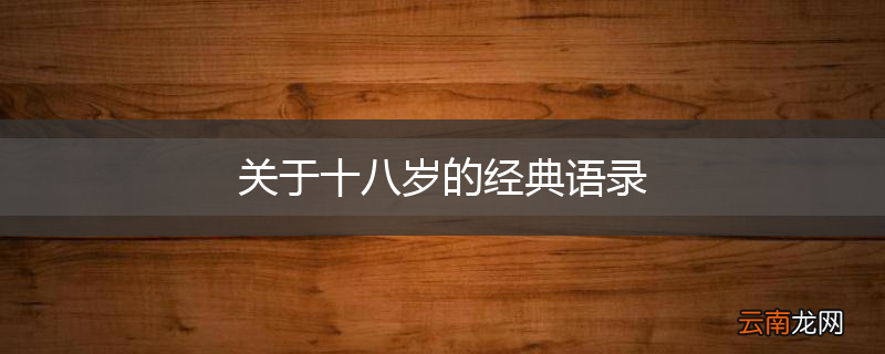 关于十八岁的经典语录