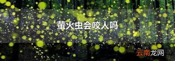 萤火虫会咬人吗