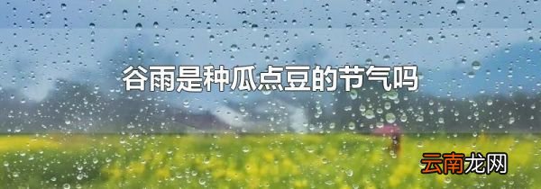 谷雨是种瓜点豆的节气吗