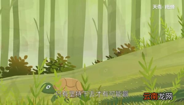 龟兔赛跑讲了什么道理 龟兔赛跑告诉什么道理