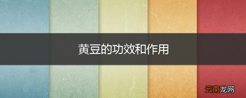 黄豆的功效和作用