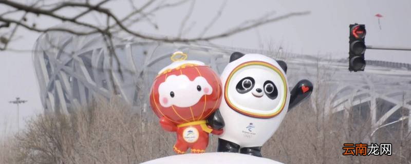 冰墩墩规格是多少