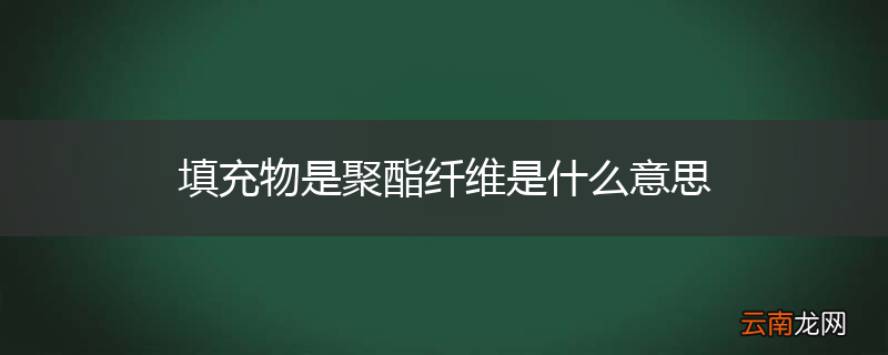 填充物是聚酯纤维是什么意思