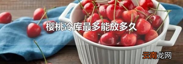 樱桃冷库最多能放多久