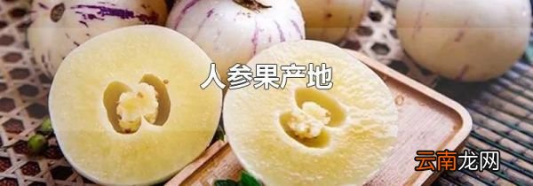 人参果产地