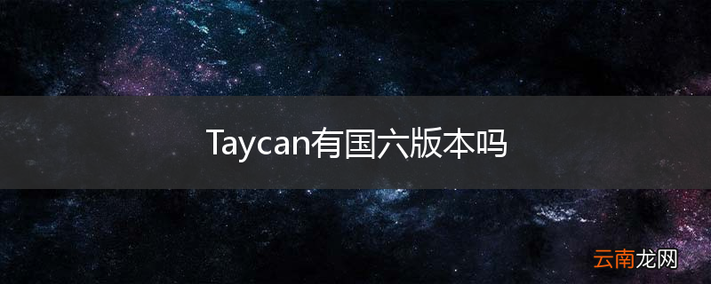 Taycan有国六版本吗