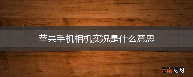 苹果手机相机实况是什么意思