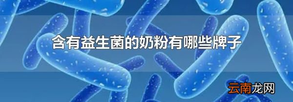 含有益生菌的奶粉有哪些牌子