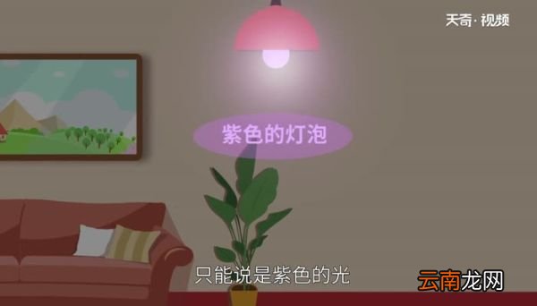 紫色的灯就是紫外线吗紫色的灯是不是紫外线呢