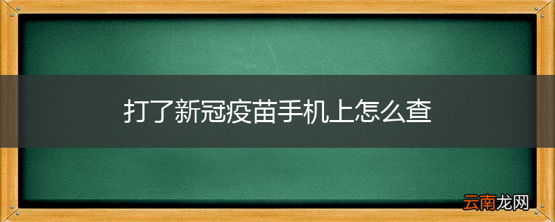 打了新冠疫苗手机上怎么查