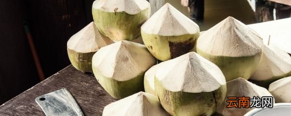 老椰子怎么开硬壳 硬椰子开壳的方法