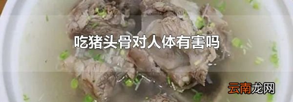 吃猪头骨对人体有害吗