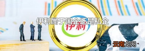 伊利属于国企还是私企
