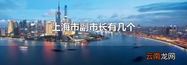 上海市副市长有几个