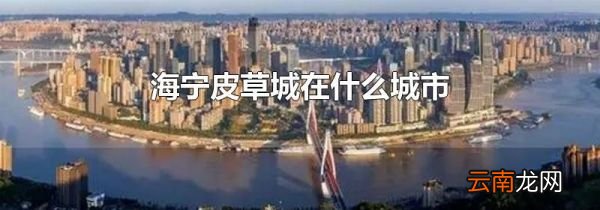 海宁皮草城在什么城市