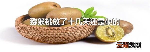 猕猴桃放了十几天还是硬的