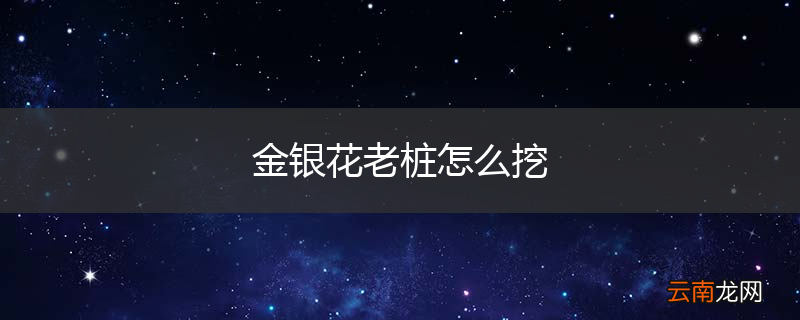 金银花老桩怎么挖