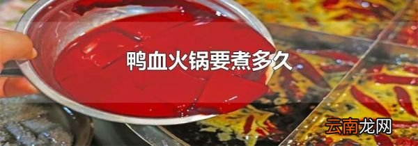 鸭血火锅要煮多久