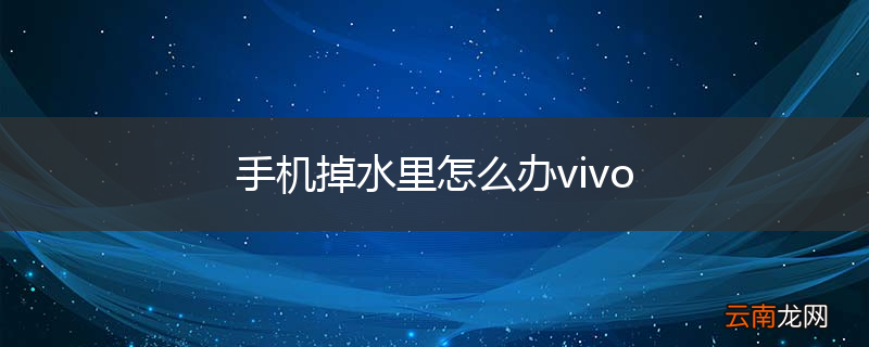 手机掉水里怎么办vivo