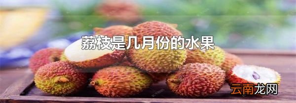 荔枝是几月份的水果