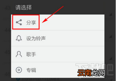 网易云音乐分享音乐新方法?