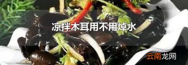 凉拌木耳用不用焯水
