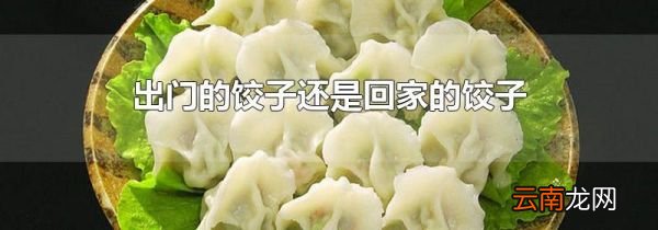 出门的饺子还是回家的饺子