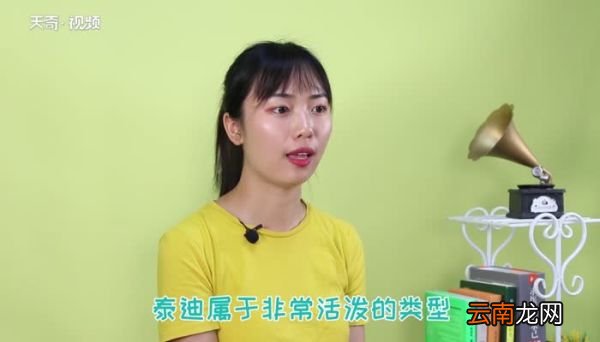 泰迪和比熊有什么区别 比熊和泰迪怎么区别