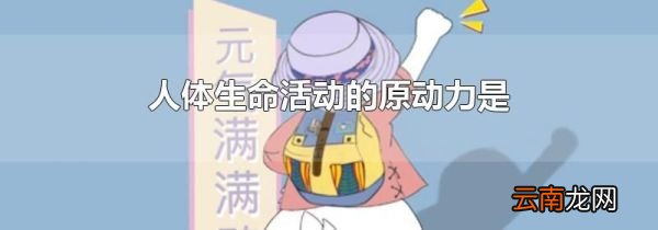 人体生命活动的原动力是