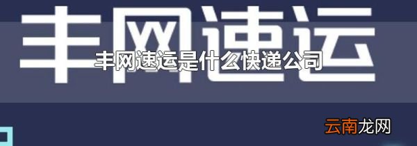 丰网速运是什么快递公司