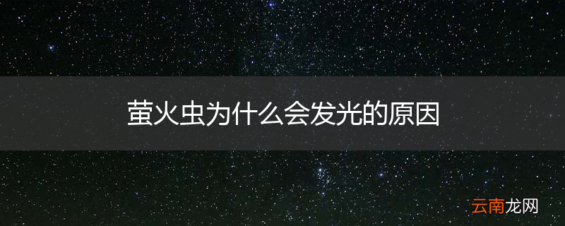 萤火虫为什么会发光的原因