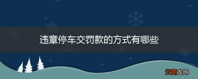 违章停车交罚款的方式有哪些