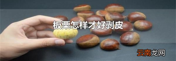 板栗怎样才好剥皮