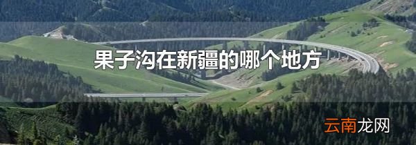 果子沟在新疆的哪个地方
