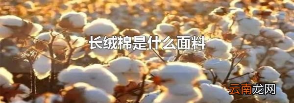 长绒棉是什么面料
