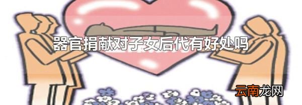器官捐献对子女后代有好处吗