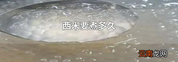 西米要煮多久